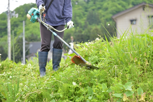 上田市で草刈りに最適な年3回の時期～楽に草刈りを終えるコツまで徹底解説