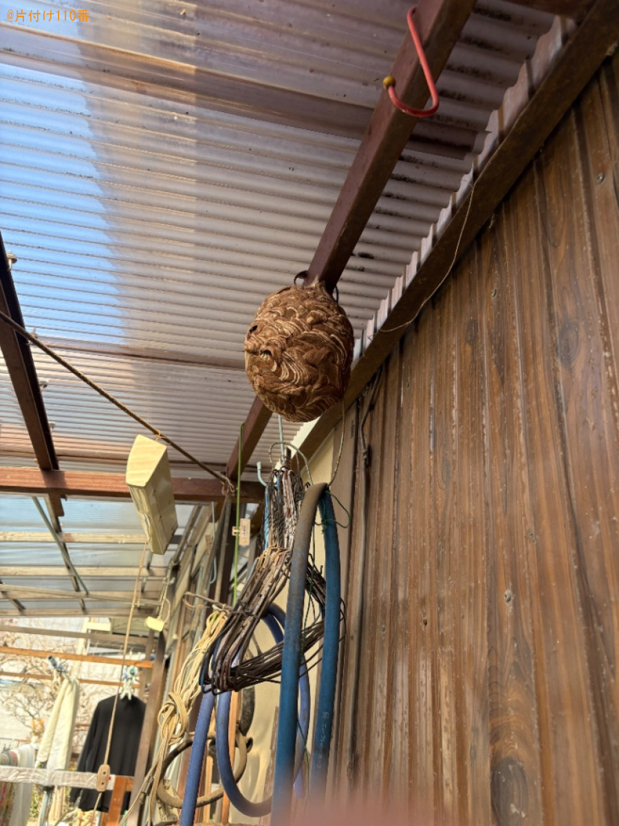 【松本市】スズメバチ駆除ご依頼　お客様の声